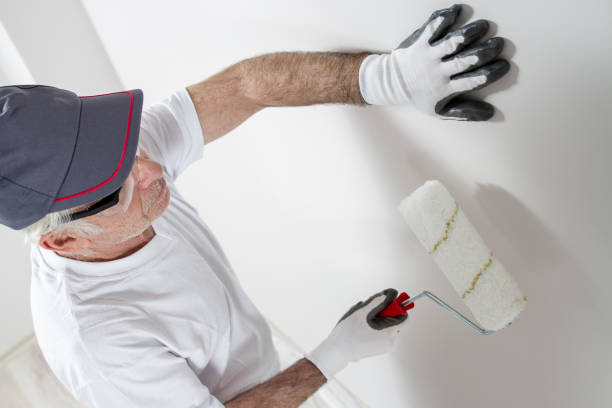 Forensic Mold Investigation in Picayune, MS