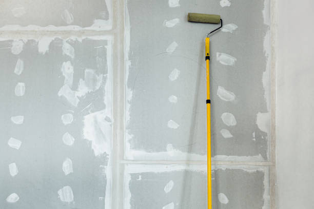 Best Commercial Mold Inspection  in Picayune, MS