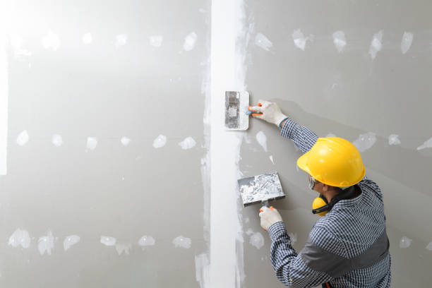 Best Real Estate Mold Inspection  in Picayune, MS