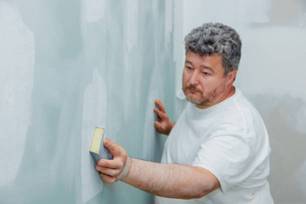 Best Mold Removal for HVAC Installations  in Picayune, MS