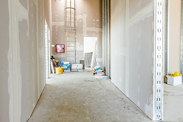 Best Mold Documentation for Insurance Claims  in Picayune, MS