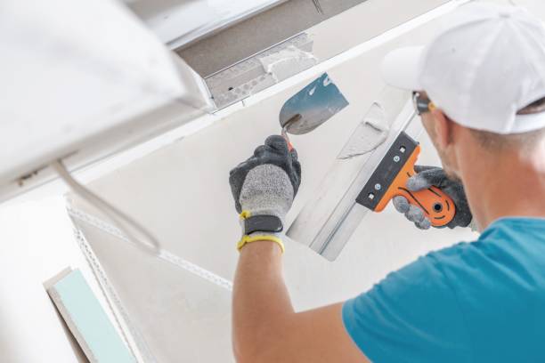 Best Mold Remediation for Healthcare Facilities  in Picayune, MS